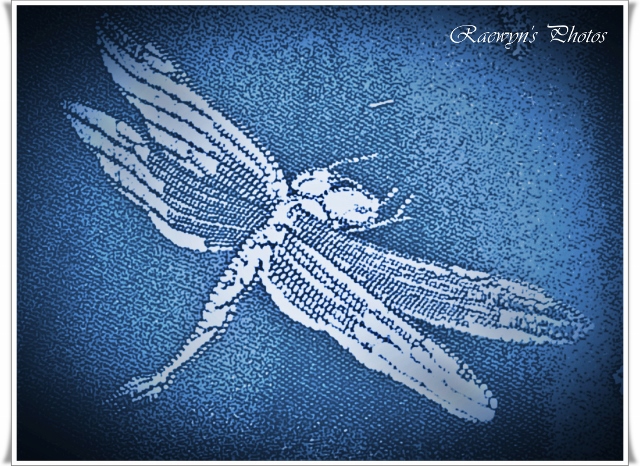 Sapphire dragonfly (640x466)