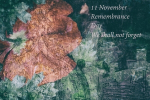 Remembrance Day 2015-1