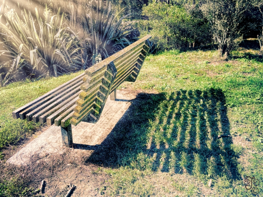 Bench in the Sun-